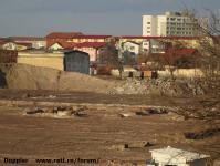 Imagine atasata: Dermatina - 2014.12.21 - 14.jpg